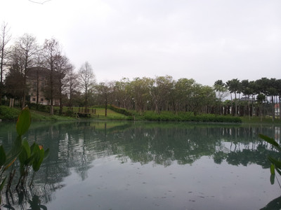 2013-02-28 17.18.37.jpg