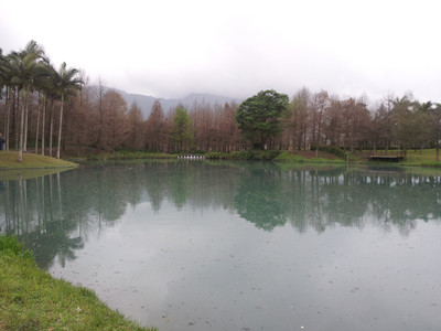 2013-02-28 17.21.27.jpg