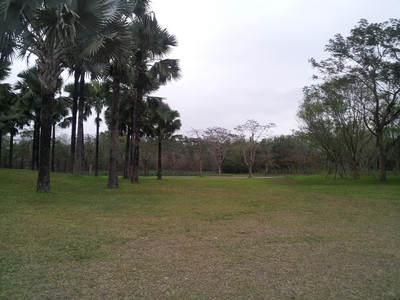 2013-02-28 17.22.43.jpg