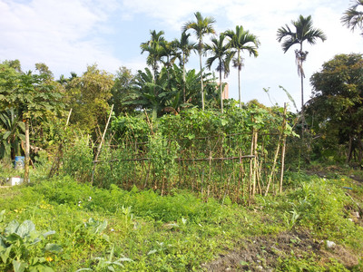 2013-03-01 08.23.21.jpg