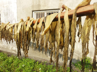 2013-03-01 08.23.48.jpg