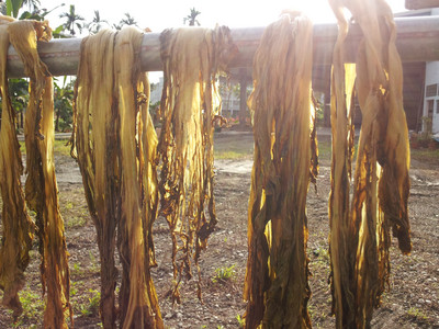 2013-03-01 08.24.00.jpg