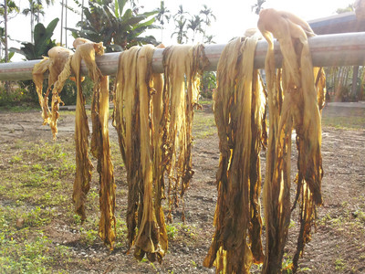 2013-03-01 08.24.06.jpg