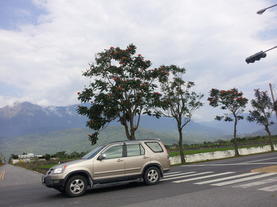 2013-03-01 09.55.53.jpg