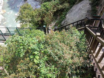 2013-03-01 12.04.50.jpg