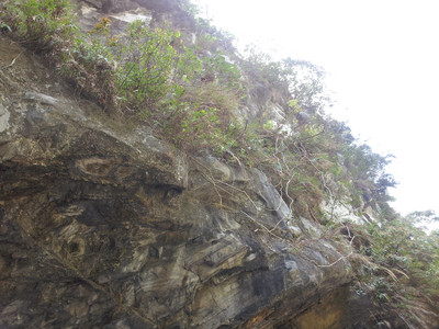 2013-03-01 12.08.08.jpg