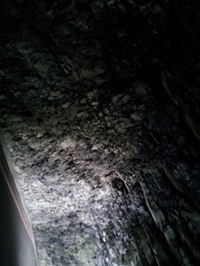 2013-03-01 12.14.04.jpg