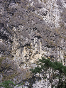 2013-03-01 12.36.38.jpg