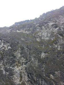 2013-03-01 12.37.33.jpg