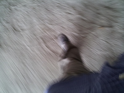 2013-03-01 14.10.56.jpg