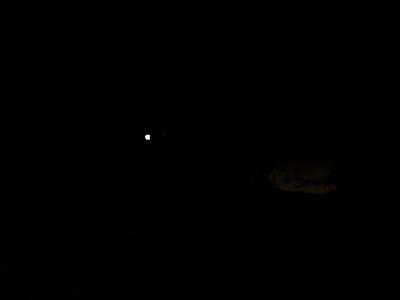 2013-03-01 14.11.41.jpg