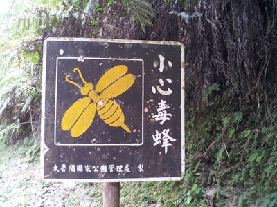 2013-03-01 14.19.42.jpg