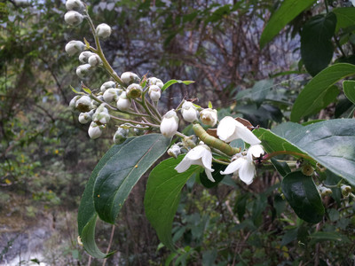 2013-03-01 14.22.41.jpg