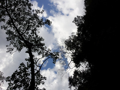 2013-03-01 14.36.04.jpg