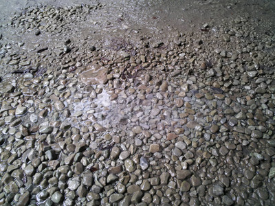 2013-03-01 14.47.04.jpg