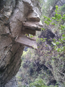 2013-03-01 14.48.30.jpg