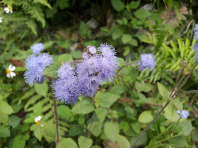 2013-03-01 14.51.03.jpg