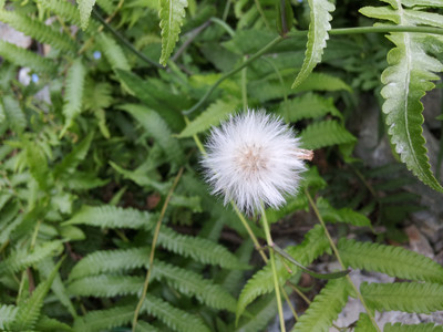 2013-03-01 14.51.13.jpg