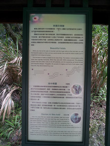 2013-03-01 15.02.29.jpg