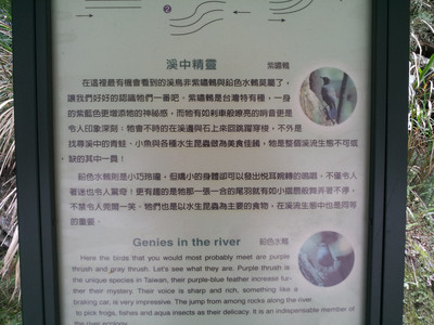 2013-03-01 15.02.44.jpg