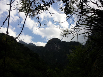 2013-03-01 15.08.13.jpg