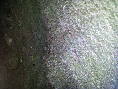 2013-03-01 15.28.21.jpg