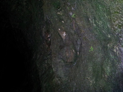 2013-03-01 15.28.30.jpg