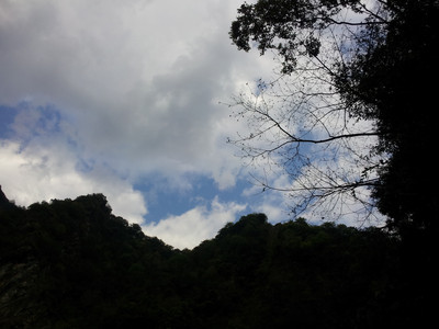 2013-03-01 15.42.23.jpg