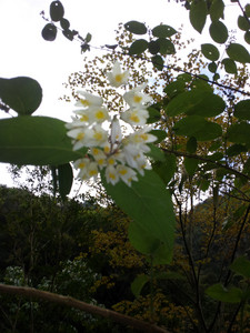 2013-03-01 15.55.25.jpg