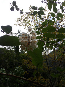 2013-03-01 15.55.33.jpg