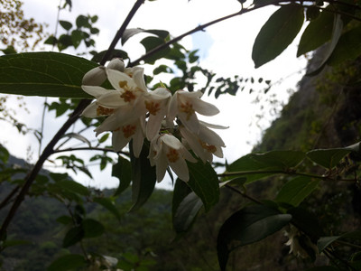 2013-03-01 15.55.42.jpg