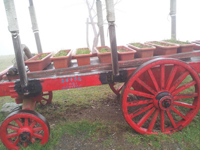 2013-03-02 10.41.36.jpg