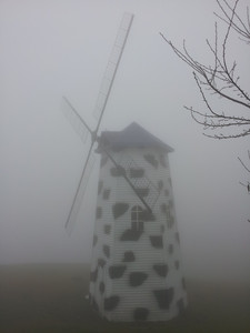 2013-03-02 10.47.21.jpg