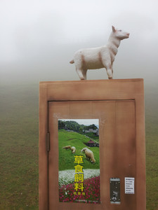 2013-03-02 10.47.36.jpg