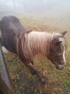 2013-03-02 10.49.32.jpg