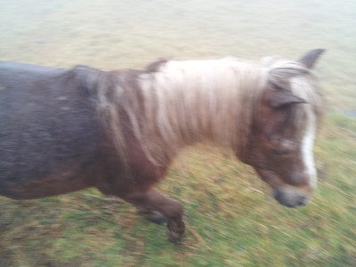 2013-03-02 10.49.36.jpg