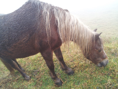 2013-03-02 10.49.45.jpg