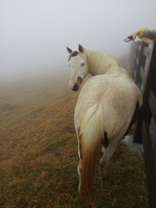 2013-03-02 10.49.54.jpg