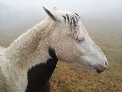 2013-03-02 10.50.08.jpg