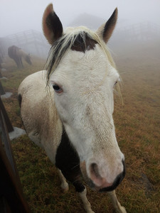 2013-03-02 10.50.14.jpg