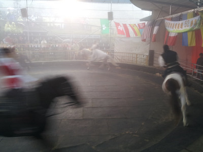 2013-03-02 10.57.13.jpg