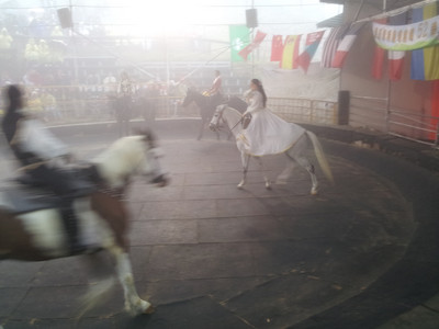 2013-03-02 10.57.27.jpg