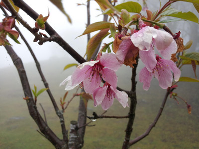 2013-03-02 11.23.44.jpg