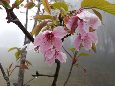 2013-03-02 11.23.51.jpg