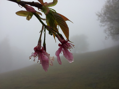 2013-03-02 11.23.59.jpg