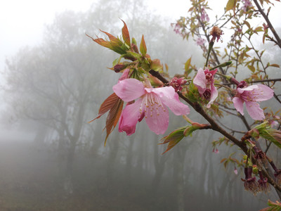 2013-03-02 11.24.19.jpg