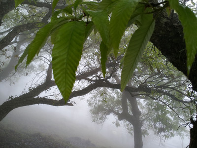 2013-03-02 11.25.06.jpg