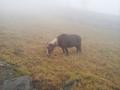 2013-03-02 11.26.45.jpg