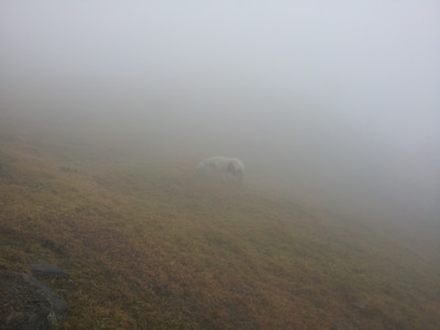 2013-03-02 11.27.10.jpg