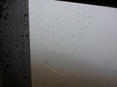 2013-03-02 11.27.56.jpg